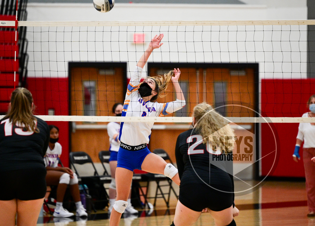 athletes playing volleyball
