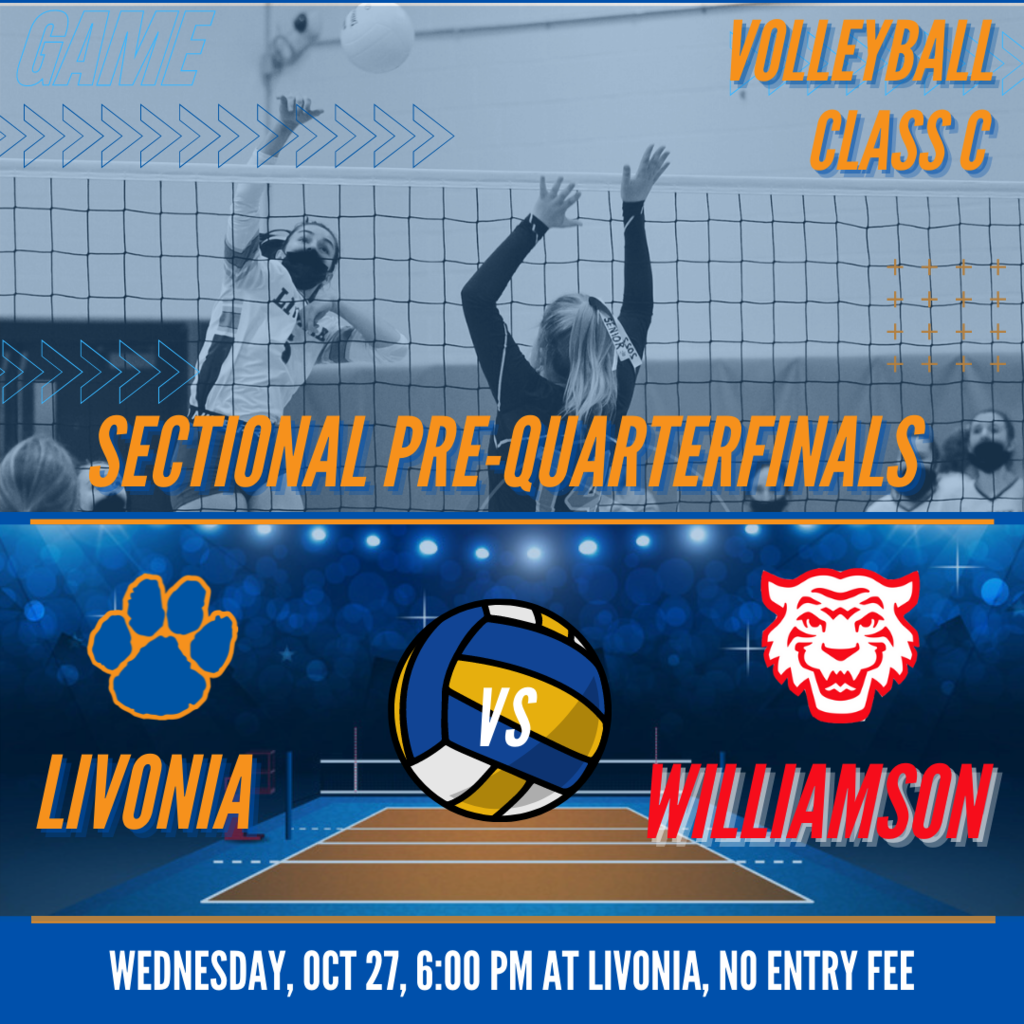 volleyball sectional graphic