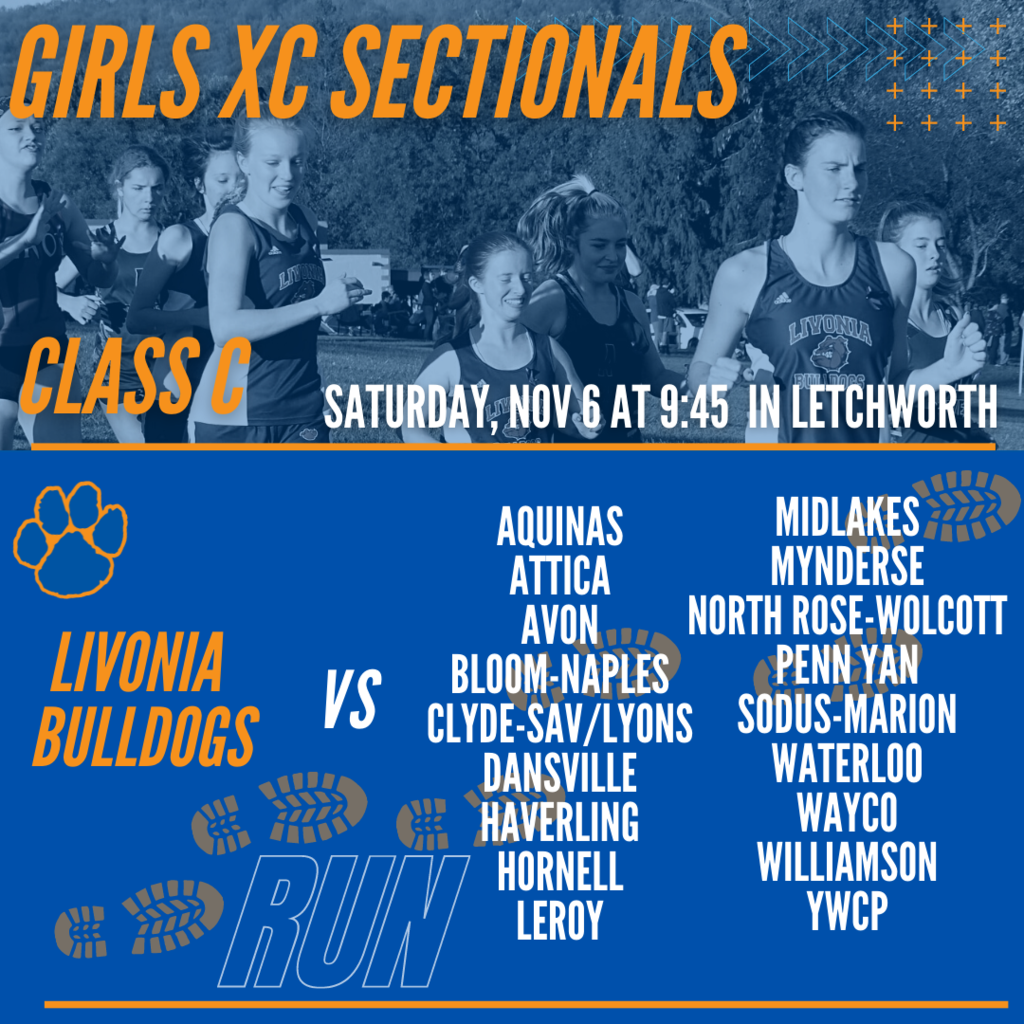 girls xc sectional graphic
