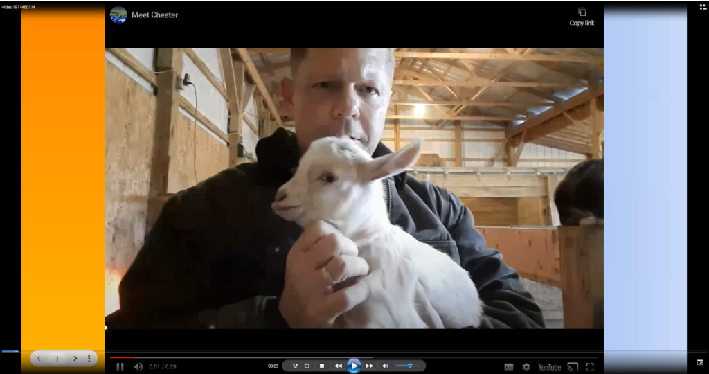 Mr Gammon with a white baby goat named Chester