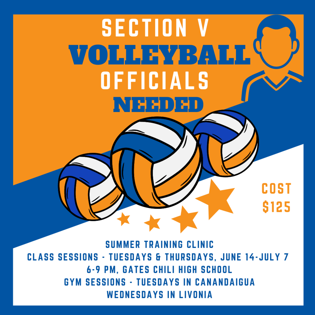 volleyball officials needed