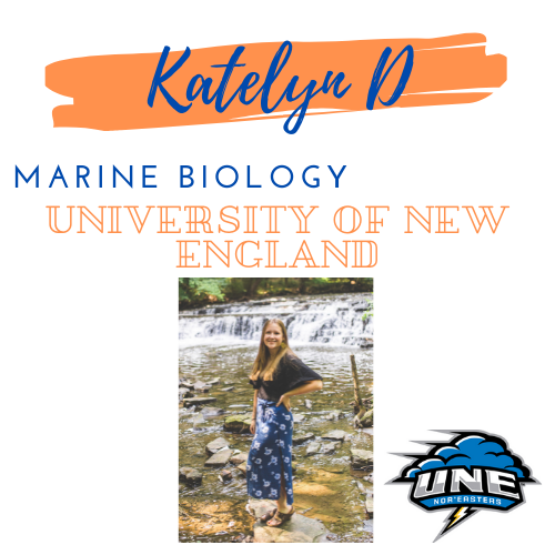 Katelyn D Marine Bio University of New England