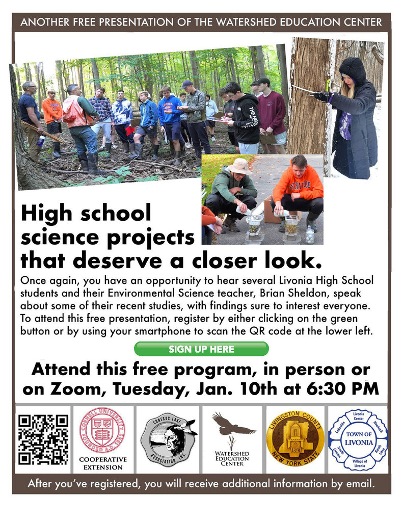 info flyer