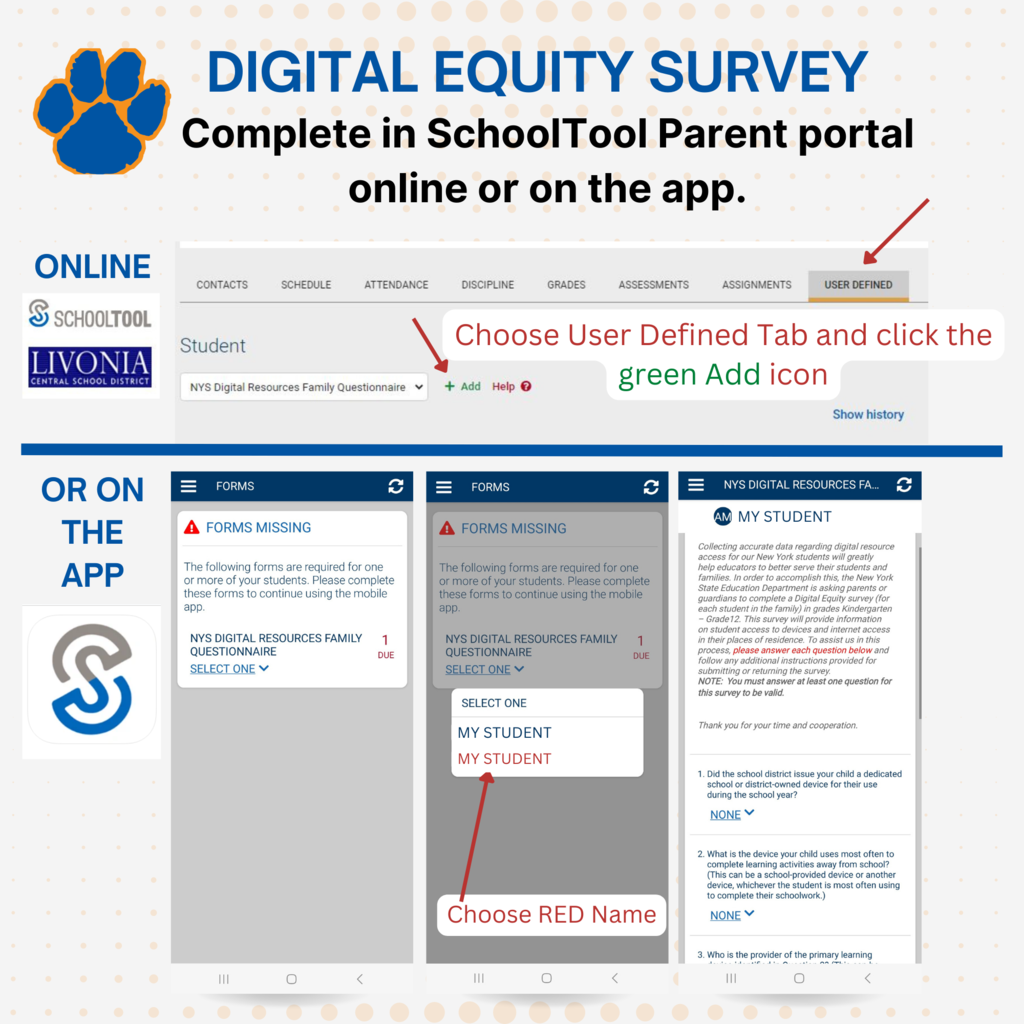 digital equity survey graphic