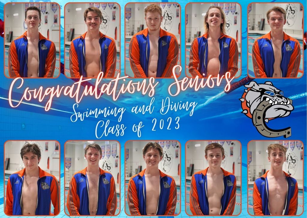 senior swimming and diving graphic