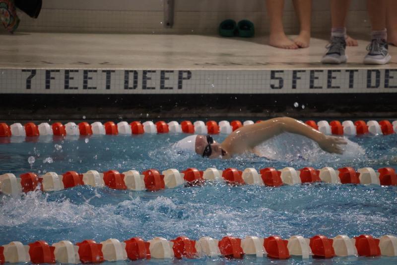 swimmer